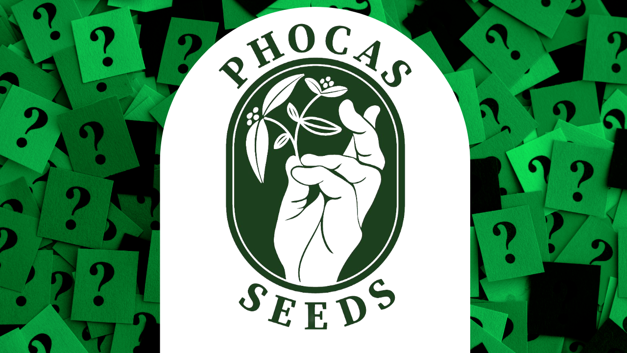 Phocas Seeds Interview