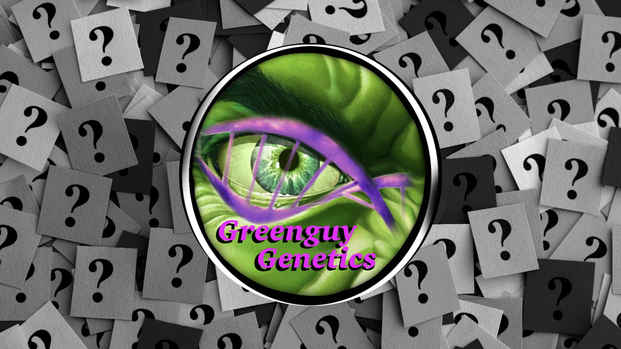 Greenguy Genetics Interview