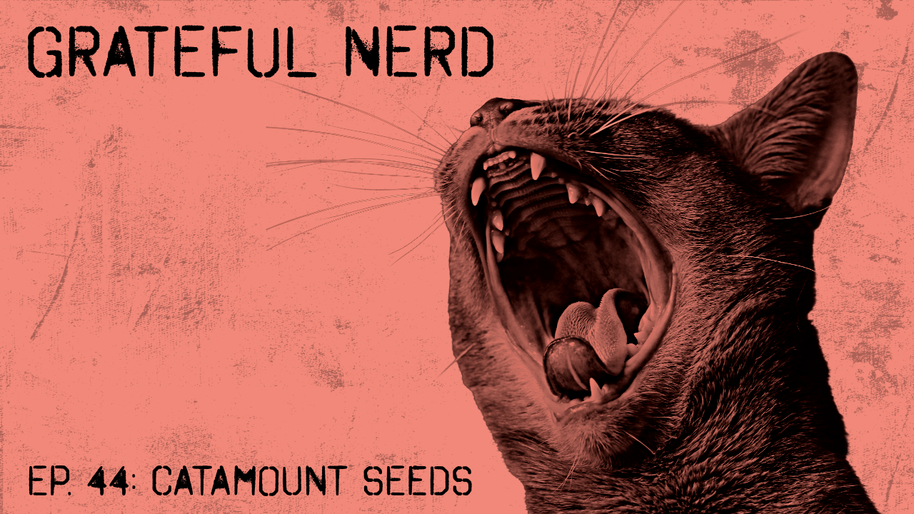 Catamount Seeds Interview
