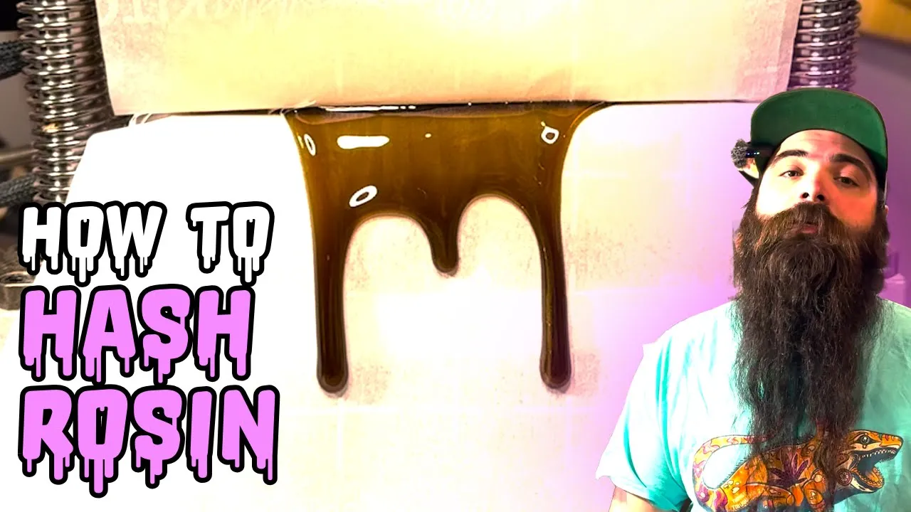 How To Make Hash Rosin - Cannabis